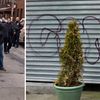 Pete Wentz's Tagged Wall Gets Massive NYPD Response